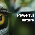 AGFA ‘Eco-System’ minimises environmental impact